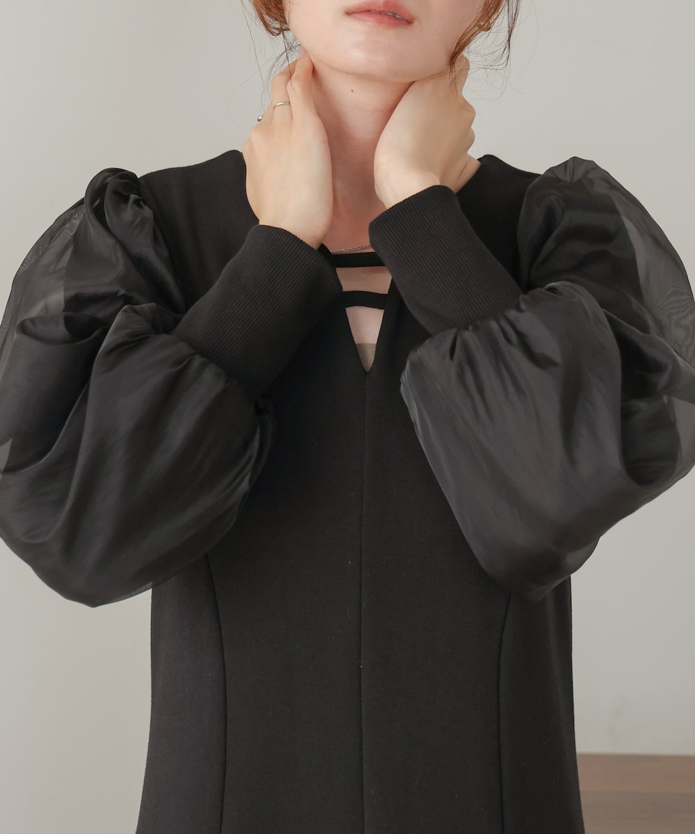 sleeve organdy onepiece