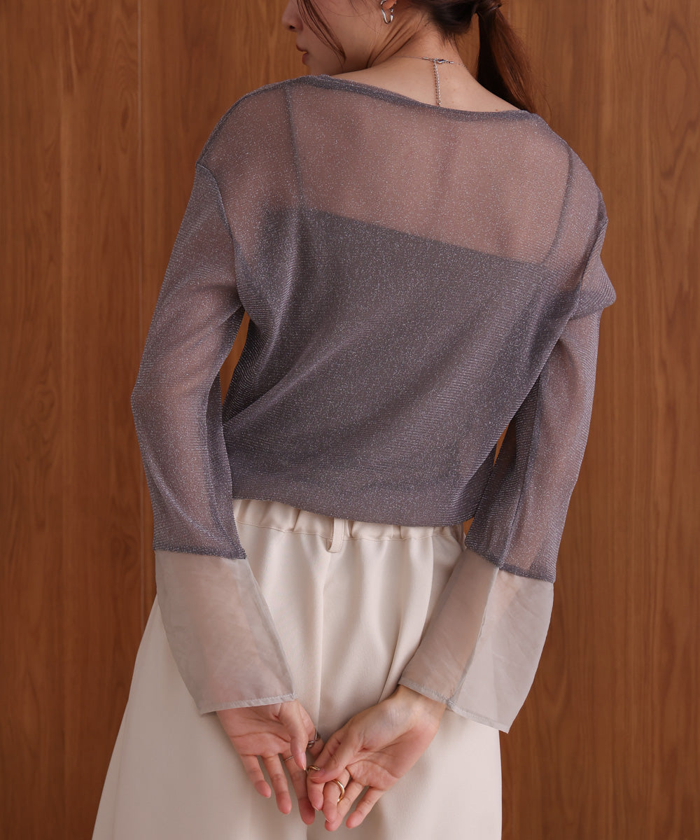 sheer sleeve glitter basic tops