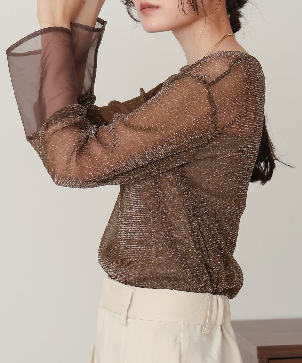 sheer sleeve glitter basic tops