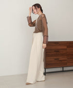 袖シアーラメベーシックカットソートップス