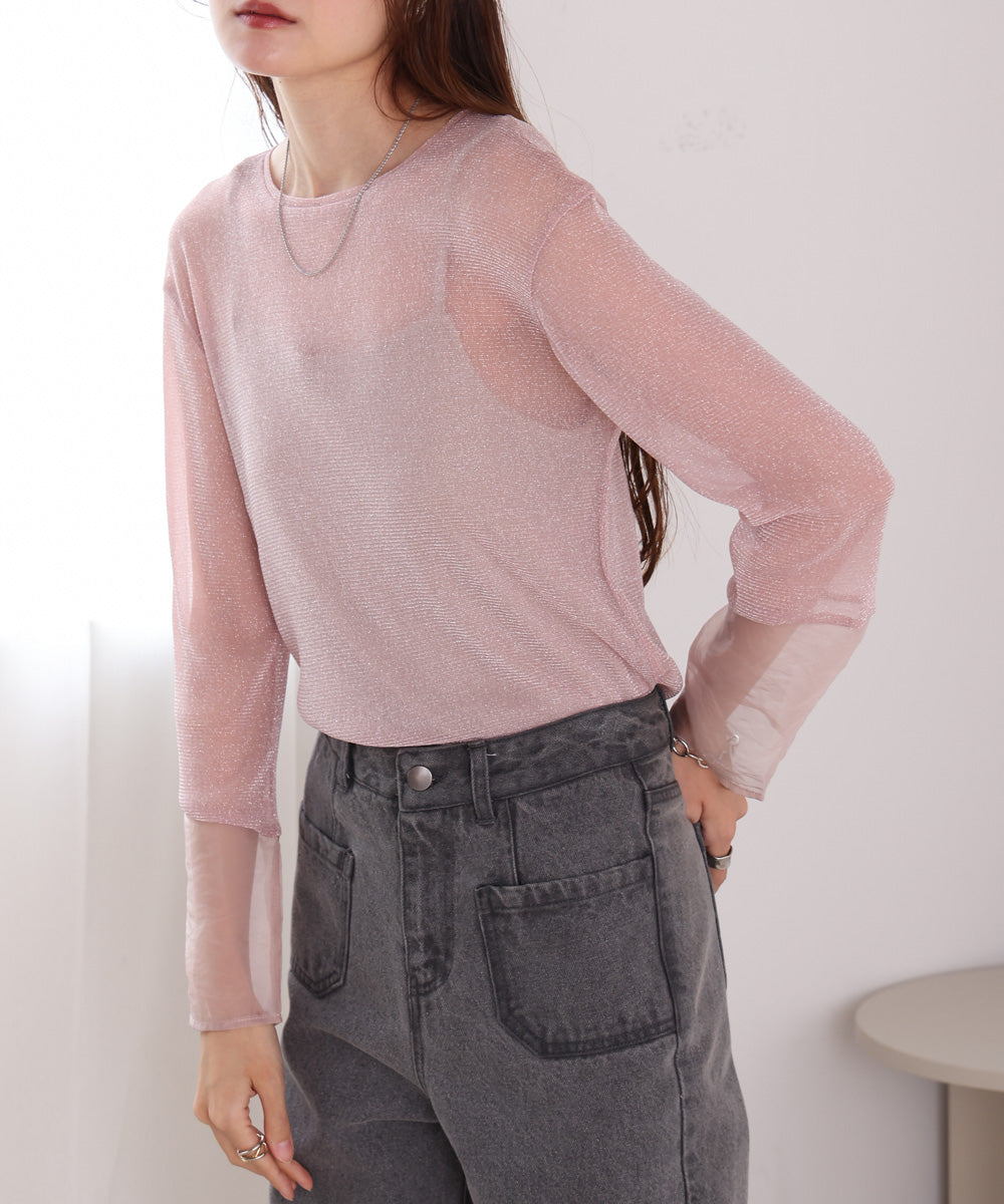 袖シアーラメベーシックカットソートップス