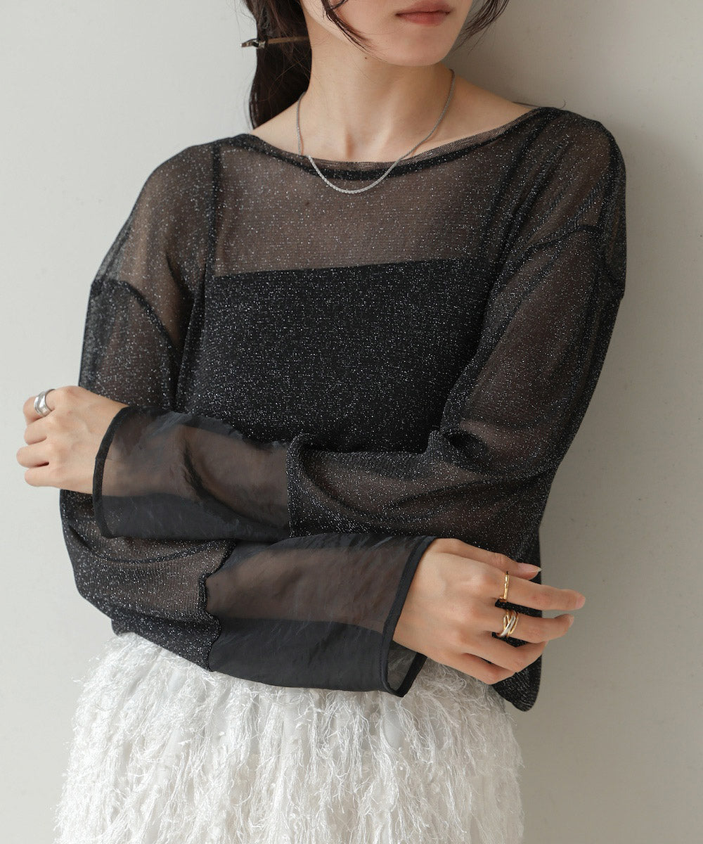 sheer sleeve glitter basic tops