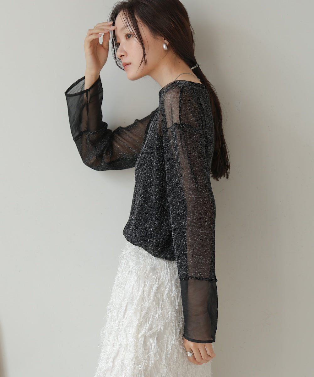 sheer sleeve glitter basic tops