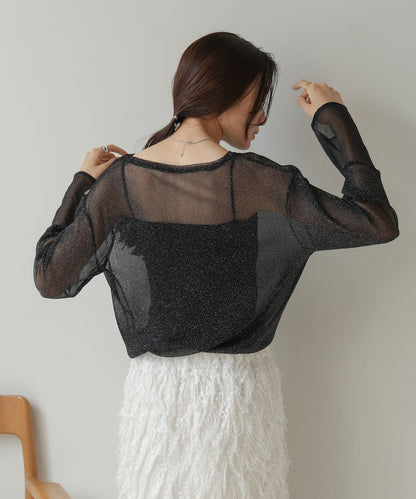 sheer sleeve glitter basic tops