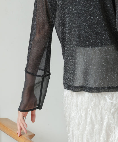 sheer sleeve glitter basic tops