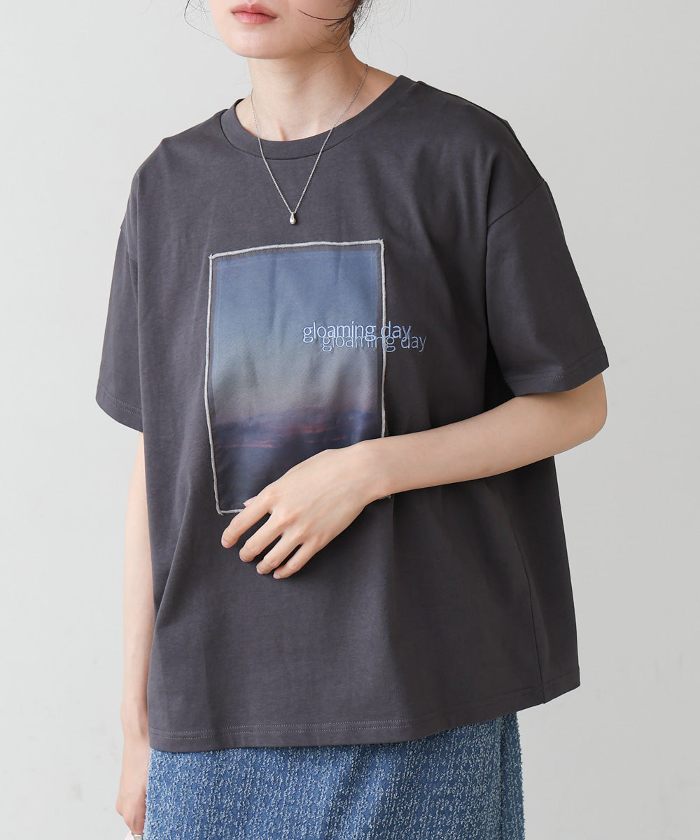 シアーレイヤードプリントＴシャツ