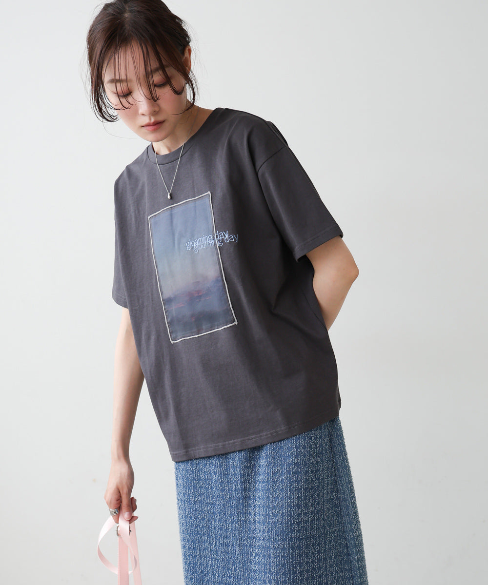 シアーレイヤードプリントＴシャツ