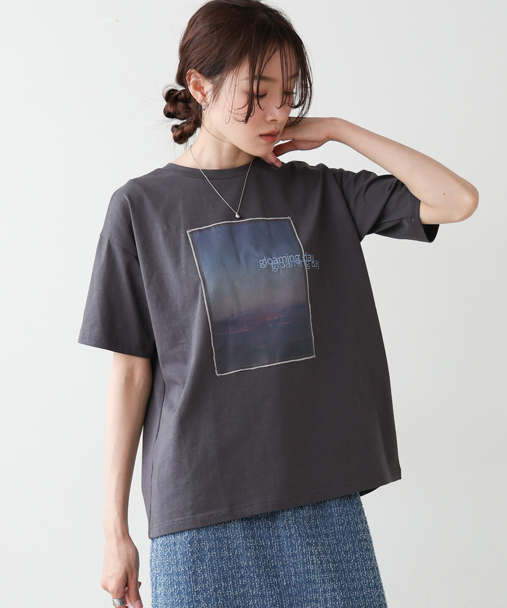 シアーレイヤードプリントＴシャツ