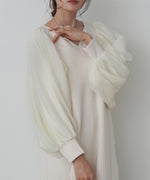 袖オーガンジーポンチワンピース