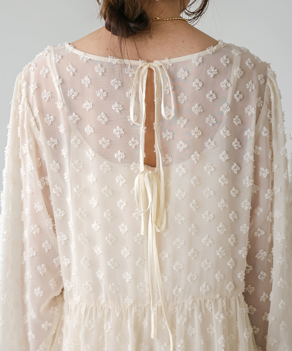 BACK RIBBON SHEER JACQUARD ONEPIECE