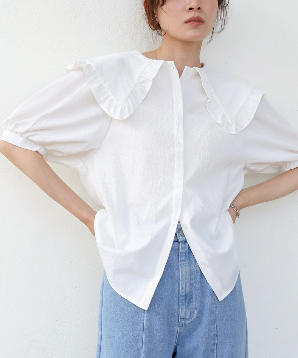 ビックカラーハーフスリーブブラウス