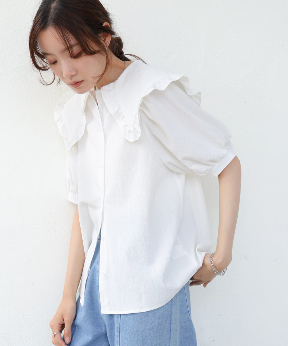 ビックカラーハーフスリーブブラウス