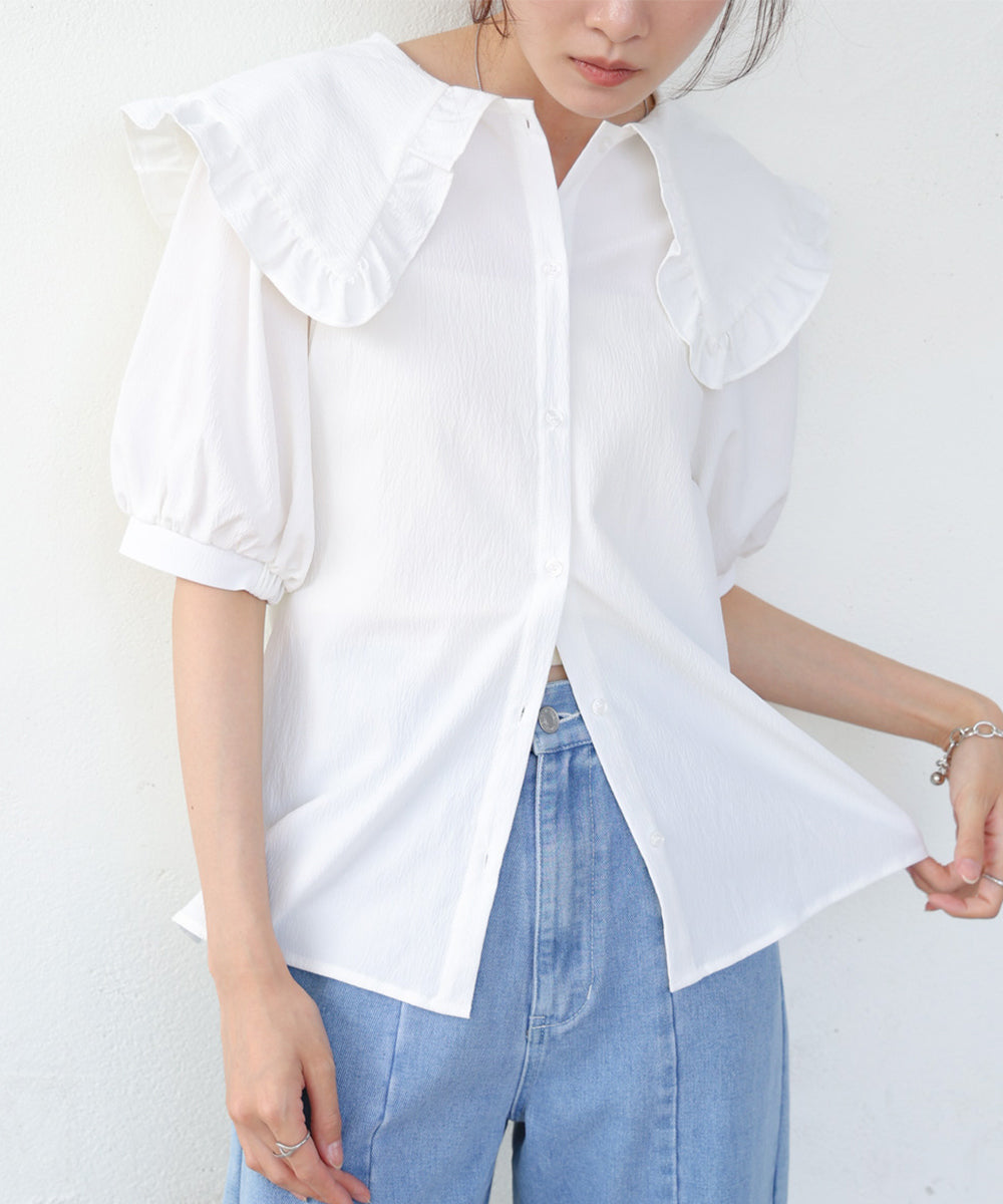 ビックカラーハーフスリーブブラウス