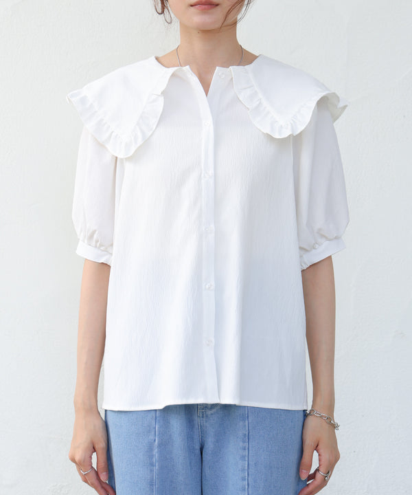 ビックカラーハーフスリーブブラウス